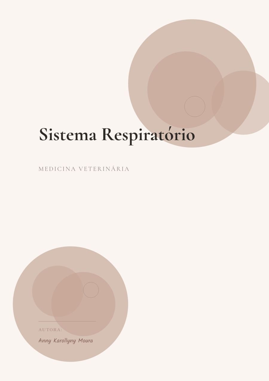 Capa Sistema Respiratório