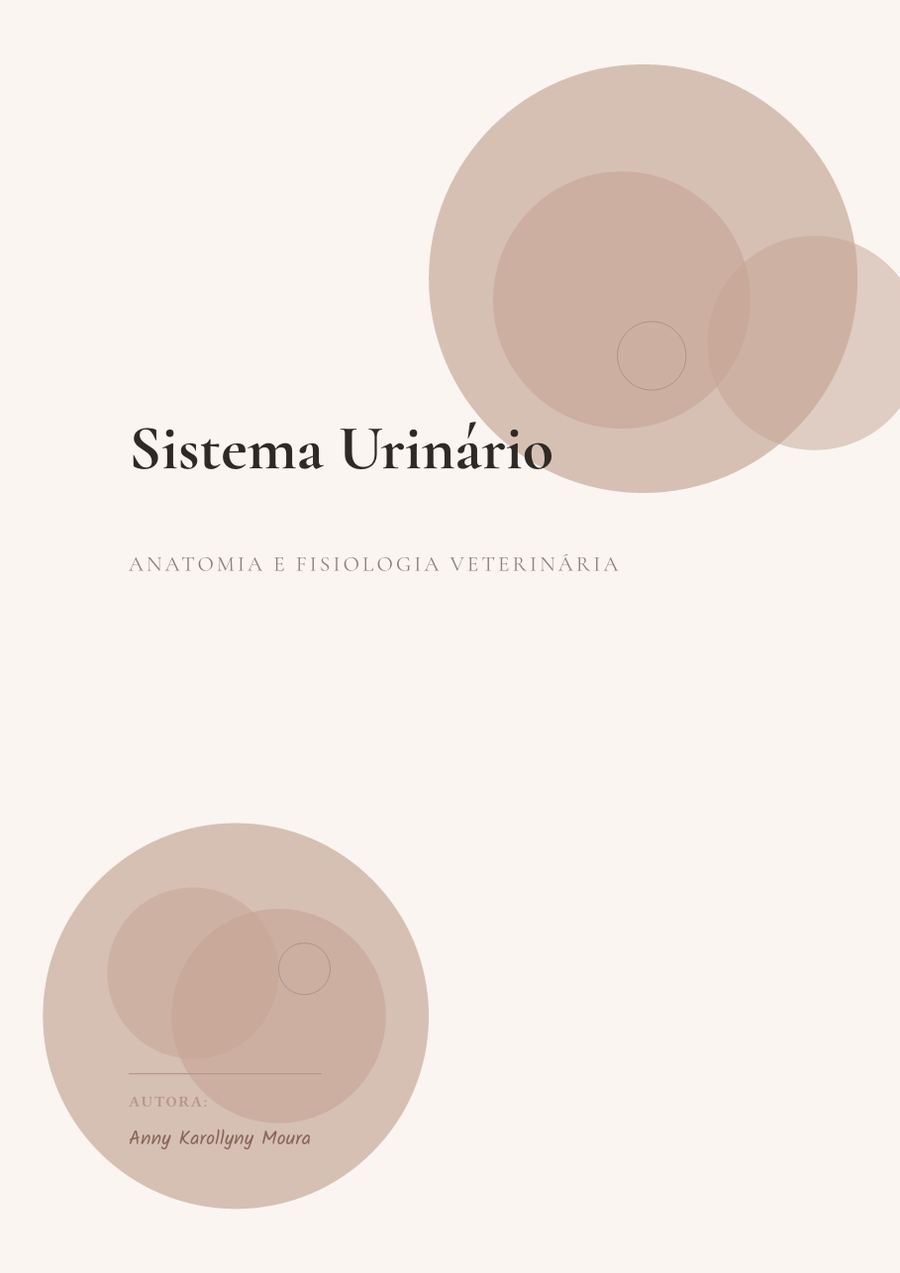 Sistema Urinário
