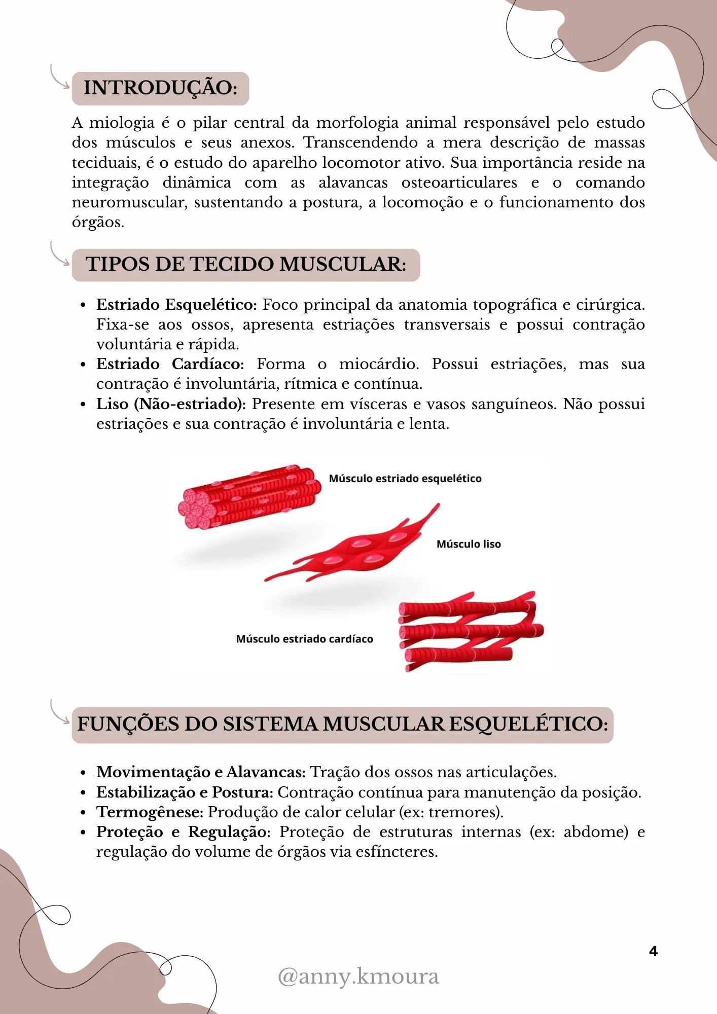 Página 2 do material de Miologia Veterinária