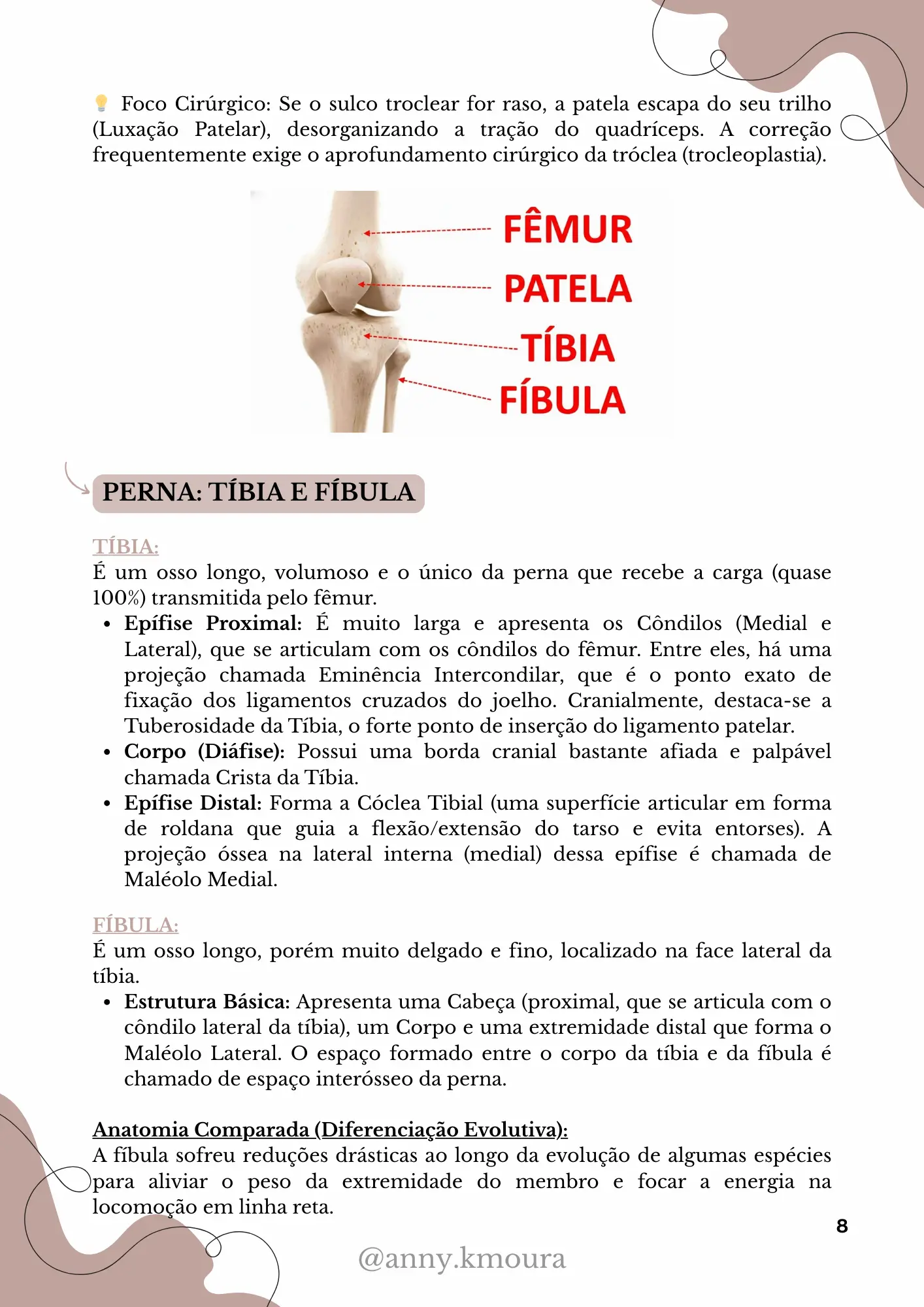 Página 2 do material de Esqueleto Apendicular Pélvico