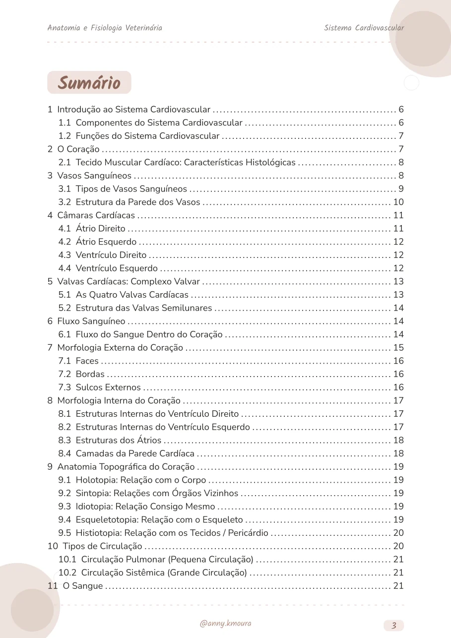 Amostra cardiovascular-system página 3