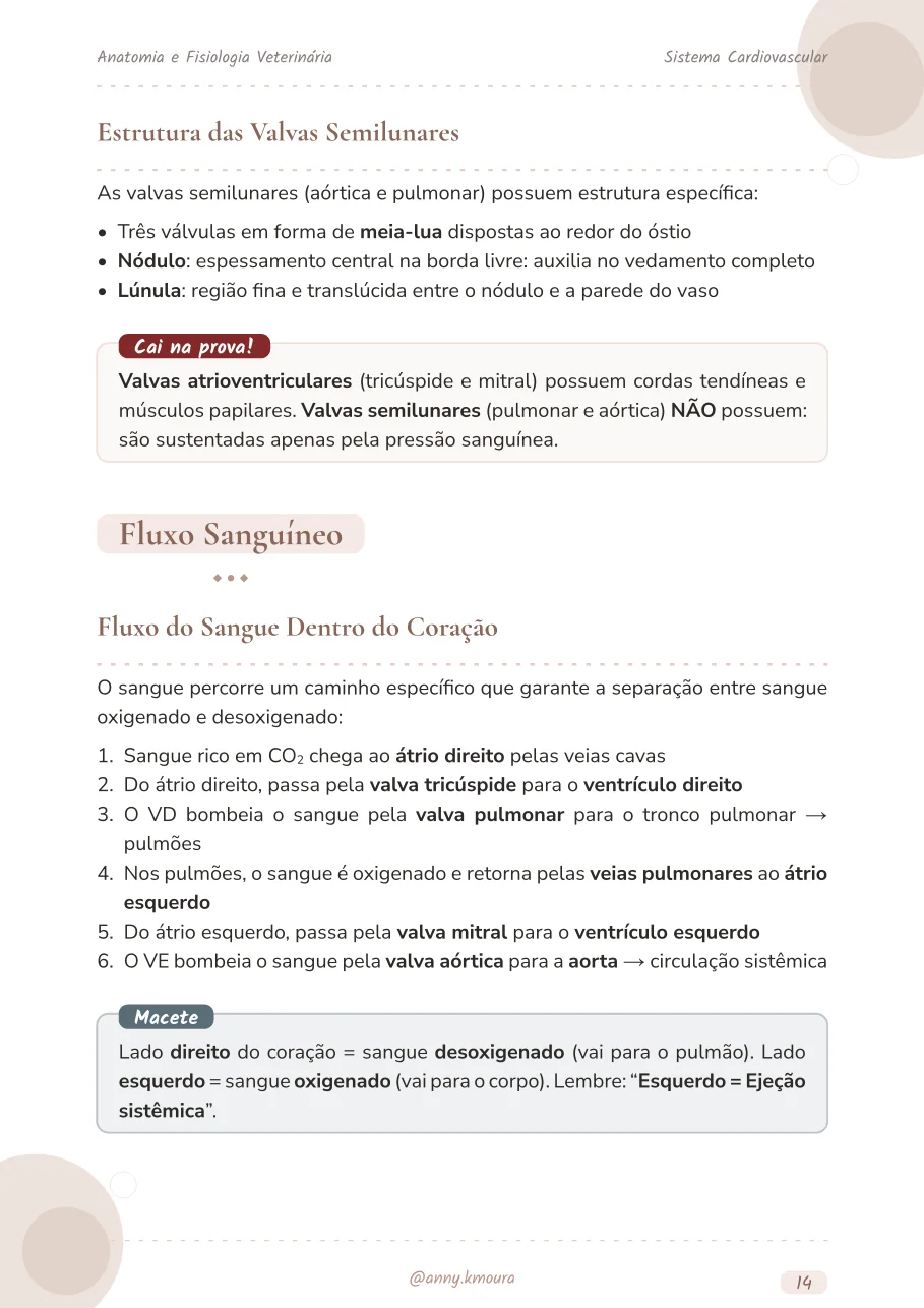 Amostra cardiovascular-system página 14