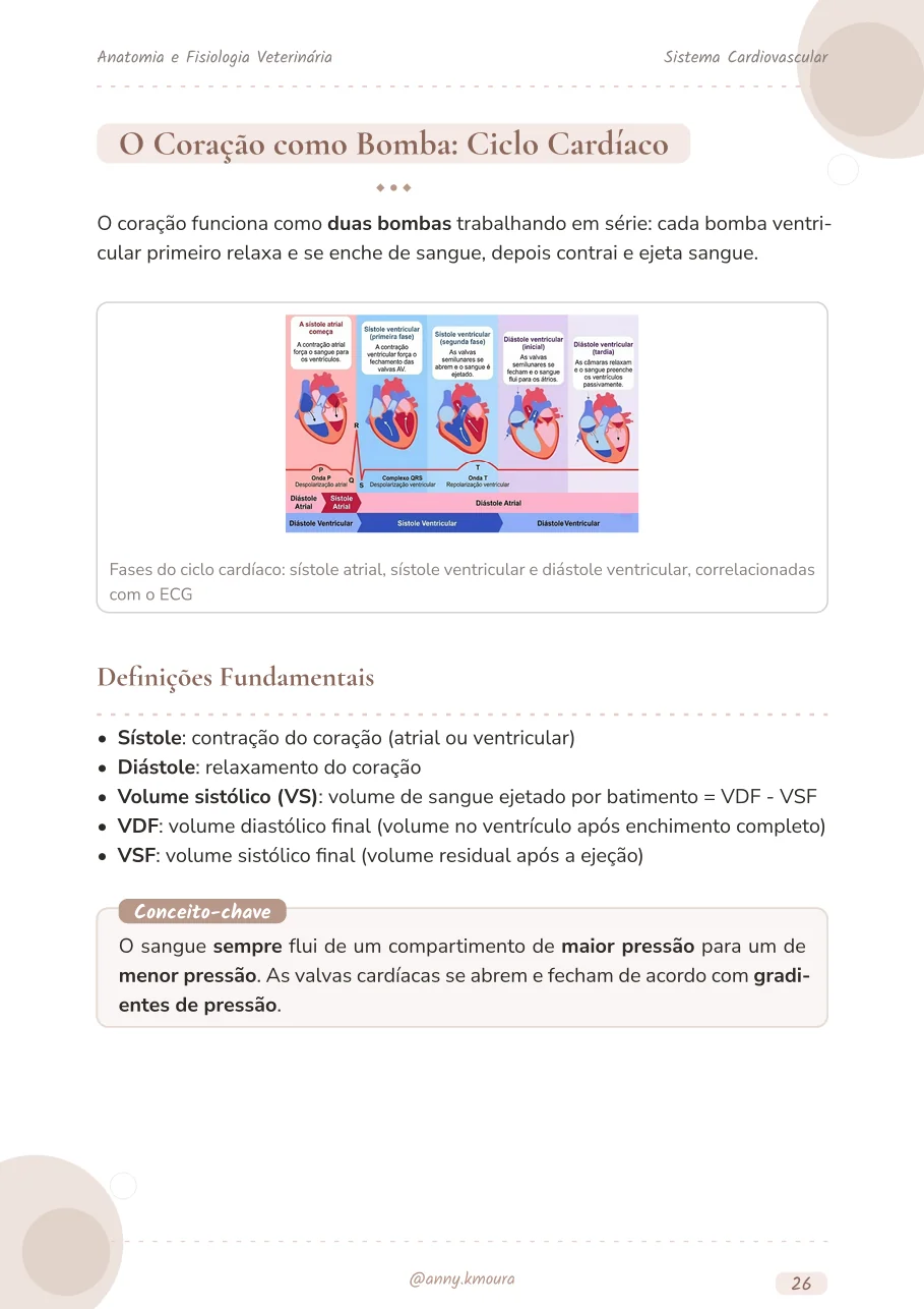 Amostra cardiovascular-system página 26