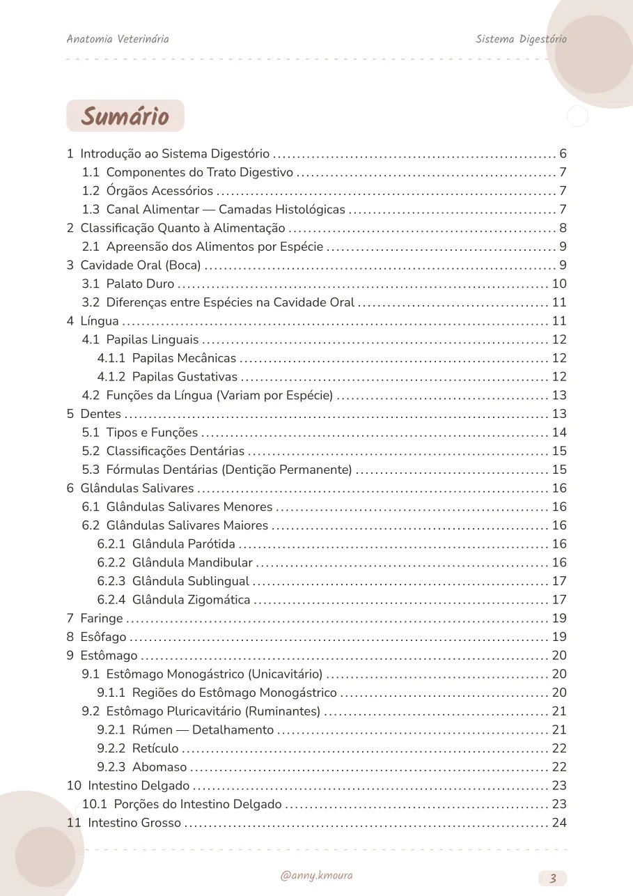 Amostra digestive-system página 3
