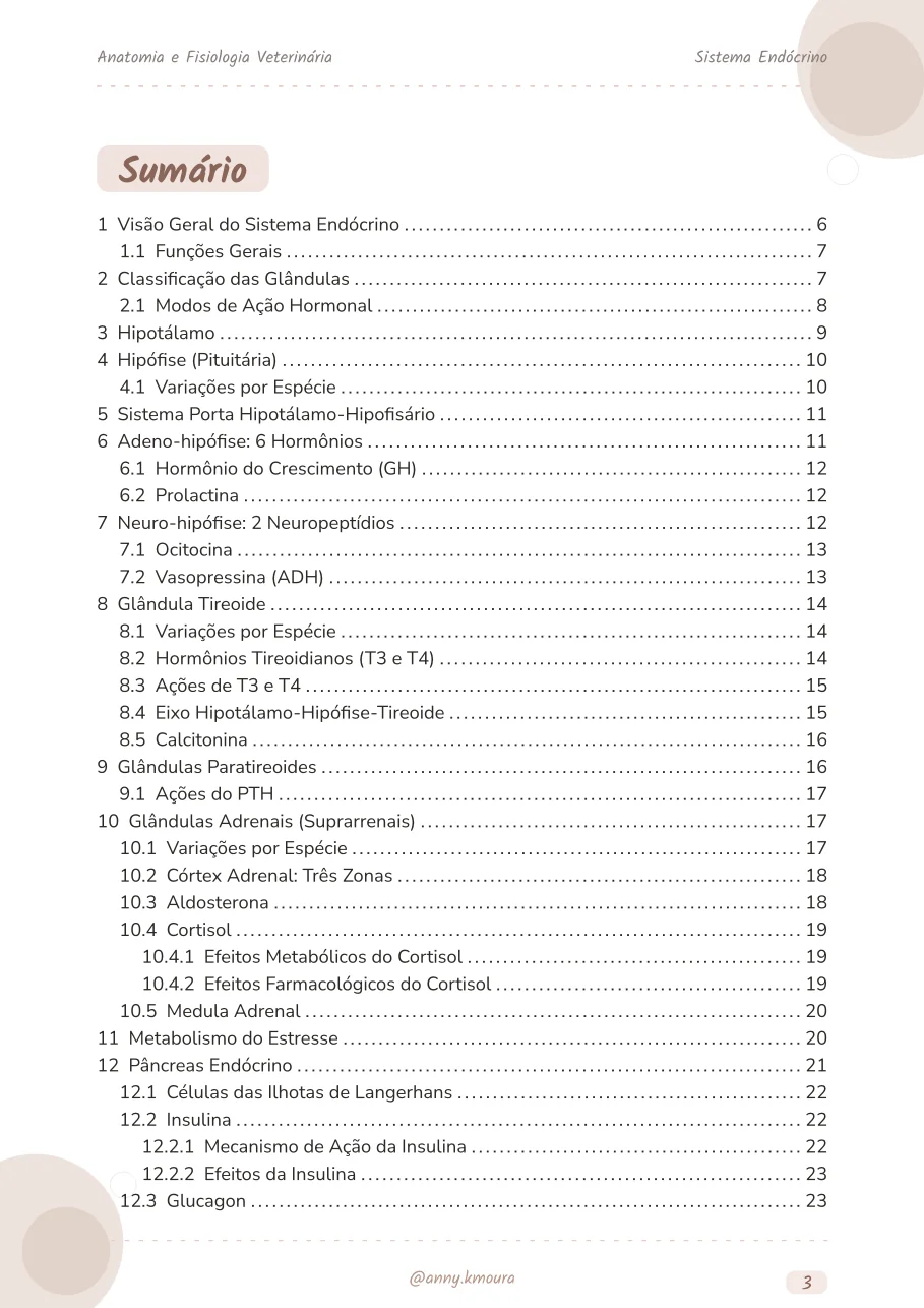 Amostra endocrine-system página 3