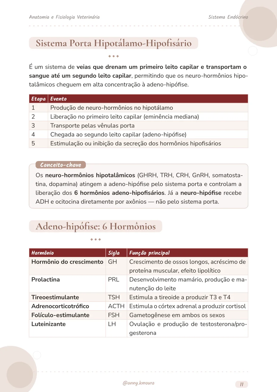 Amostra endocrine-system página 11