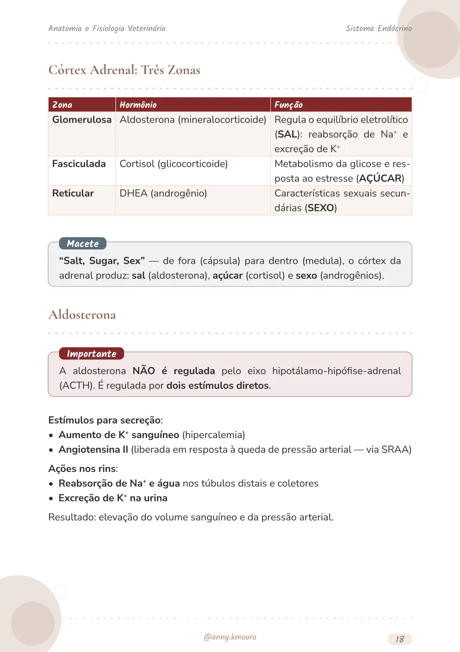 Amostra endocrine-system página 18