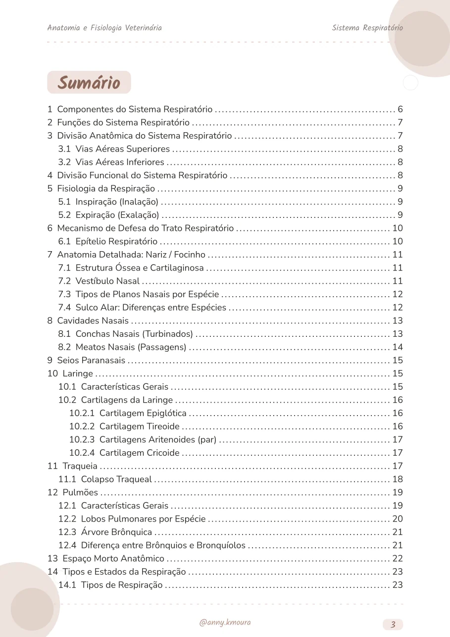 Amostra respiratory-system página 3