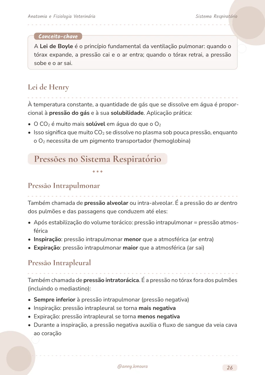 Amostra respiratory-system página 26
