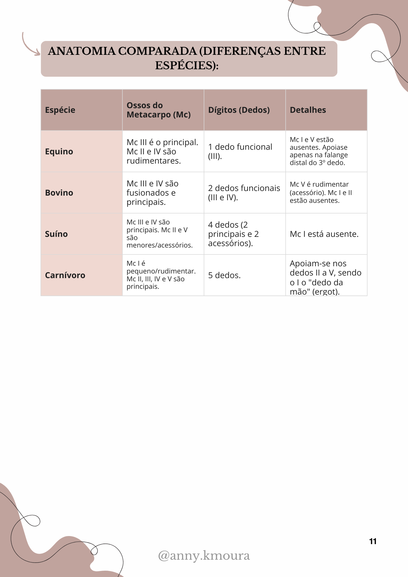 Página 3 do material de Esqueleto Apendicular Torácico